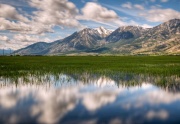 Carson Valley Reflection