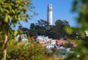 San-Francisco Coit Tower