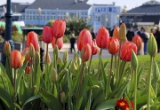 San Francisco Pier 39