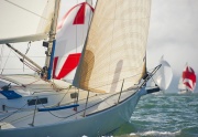 San Francisco Sail Boats in the Bay