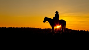 cowboy and sunset