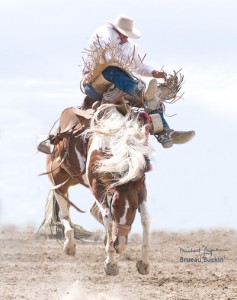 cowboy fest